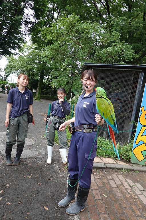 羽村動物園インコイベント