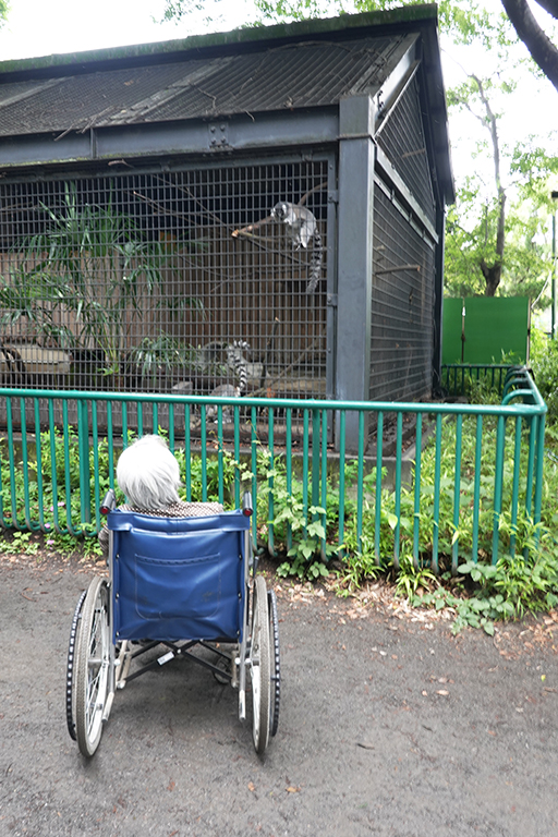 羽村動物園車椅子