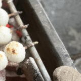 友人宅の五平餅