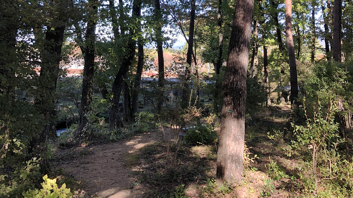 養命酒の森の散策コース