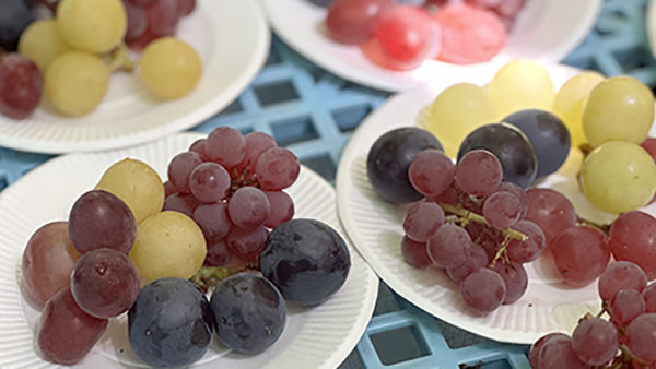 勝沼のぶどう園　忘れられない一粒を胸に