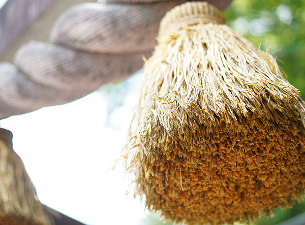 諏訪大社　 1日でめぐる四社まいり