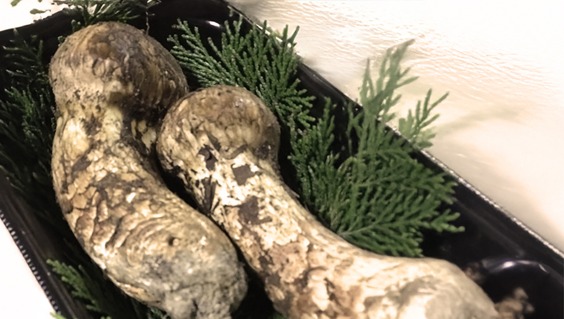 友人からお土産にいただいた松茸。秋の香りと優しさを感じる一枚。