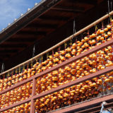 干し柿のカーテン