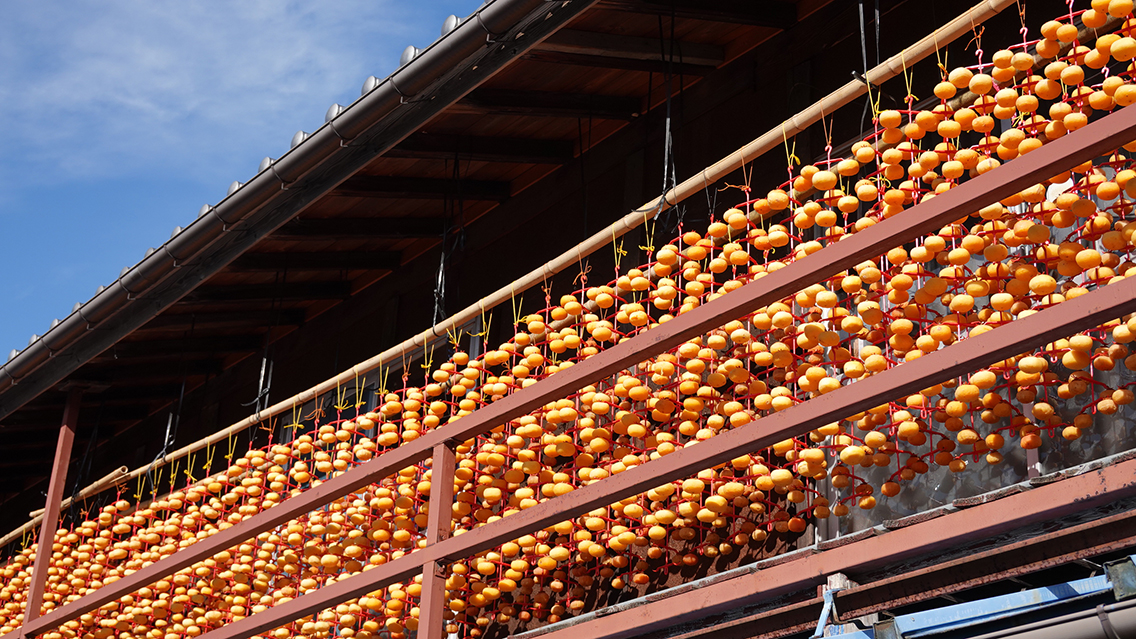 干し柿のある風景（群馬県沼田市）