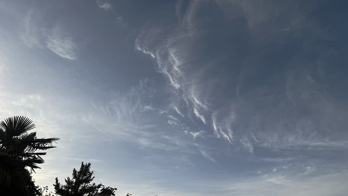 秋の朝空に巻雲
