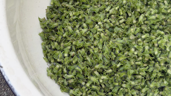 『手伝って』と言えた日