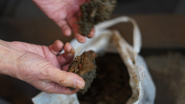 【泥染】　土と時間が染めた色──泥染のはじまり