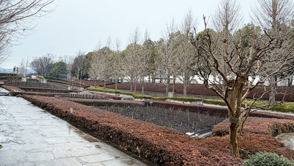 小雨の公園散歩